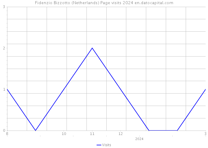 Fidenzio Bizzotto (Netherlands) Page visits 2024 