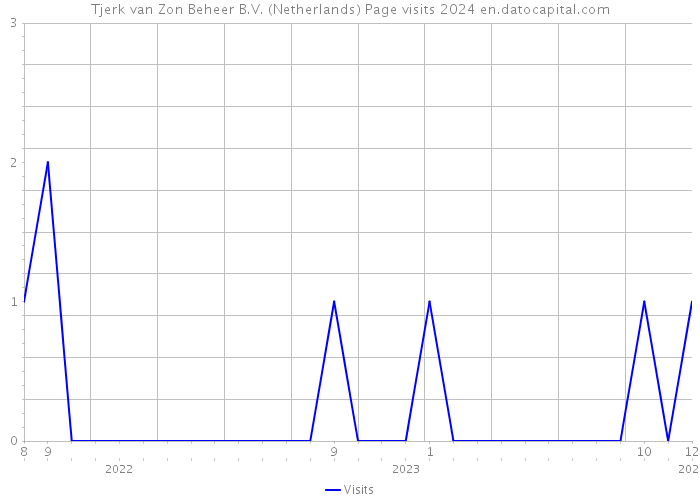 Tjerk van Zon Beheer B.V. (Netherlands) Page visits 2024 