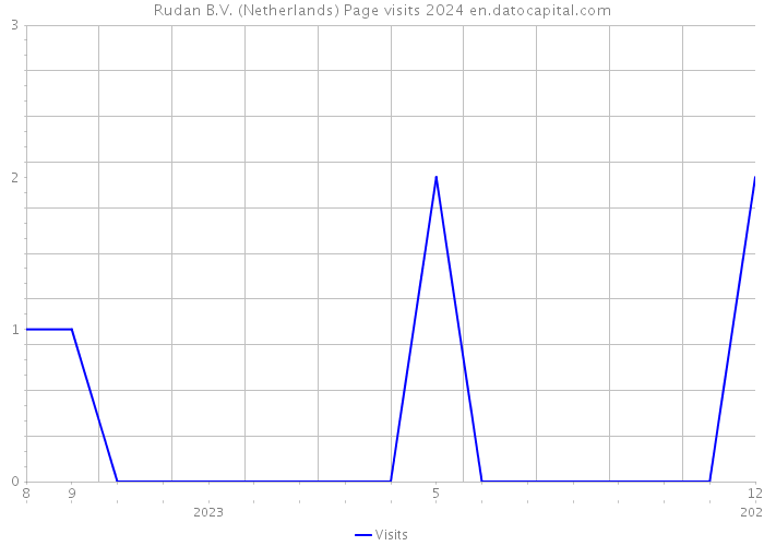 Rudan B.V. (Netherlands) Page visits 2024 