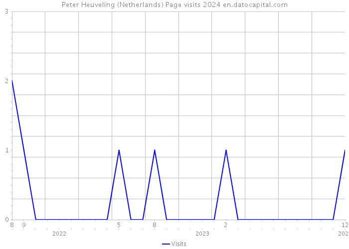 Peter Heuveling (Netherlands) Page visits 2024 
