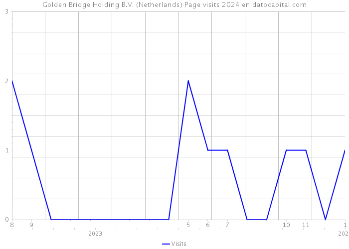 Golden Bridge Holding B.V. (Netherlands) Page visits 2024 