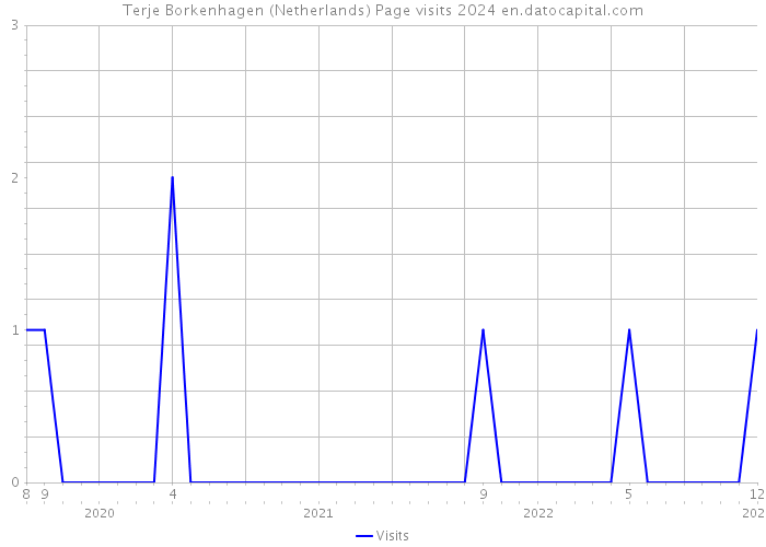 Terje Borkenhagen (Netherlands) Page visits 2024 