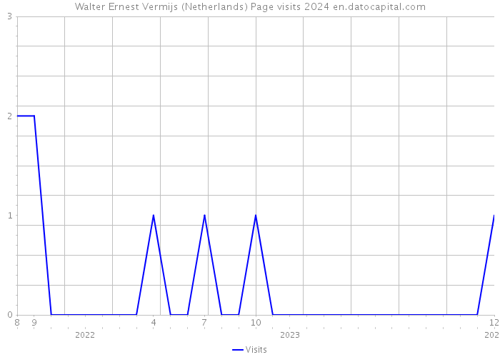Walter Ernest Vermijs (Netherlands) Page visits 2024 
