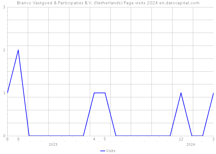 Branco Vastgoed & Participaties B.V. (Netherlands) Page visits 2024 