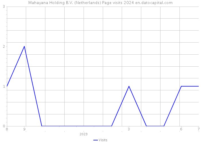 Mahayana Holding B.V. (Netherlands) Page visits 2024 
