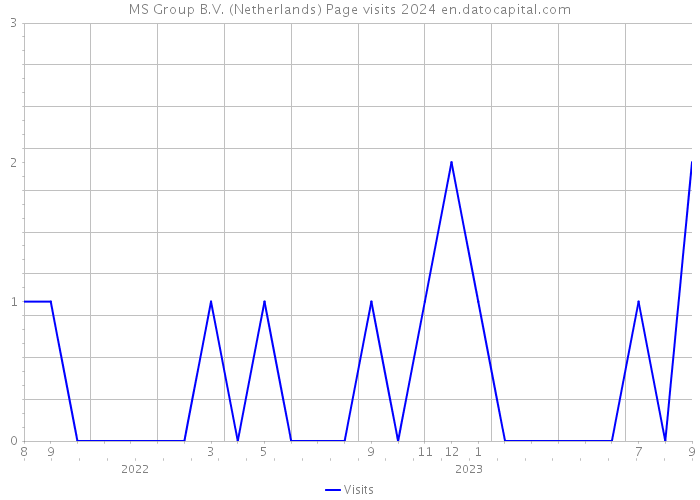 MS Group B.V. (Netherlands) Page visits 2024 