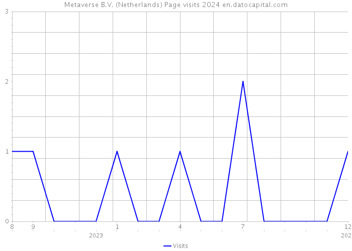 Metaverse B.V. (Netherlands) Page visits 2024 
