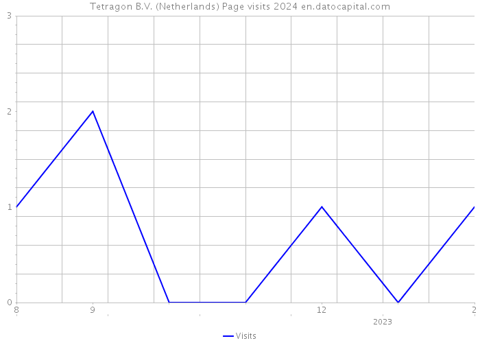 Tetragon B.V. (Netherlands) Page visits 2024 