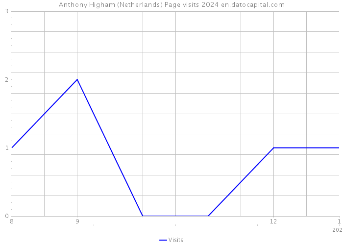 Anthony Higham (Netherlands) Page visits 2024 