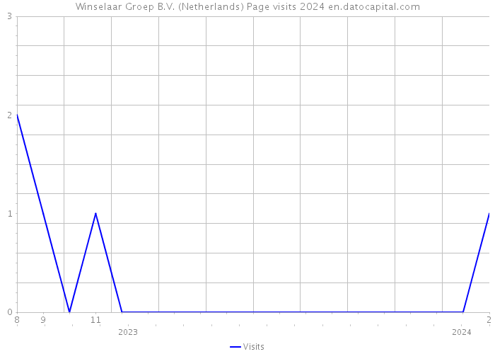 Winselaar Groep B.V. (Netherlands) Page visits 2024 