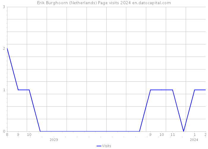 Erik Burghoorn (Netherlands) Page visits 2024 