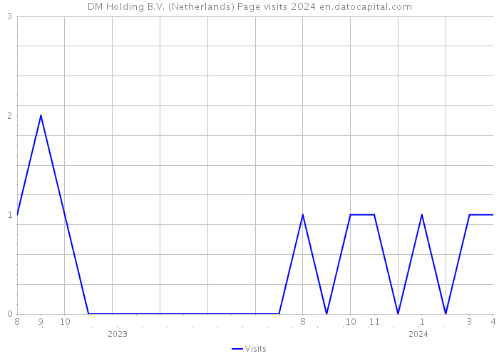 DM Holding B.V. (Netherlands) Page visits 2024 