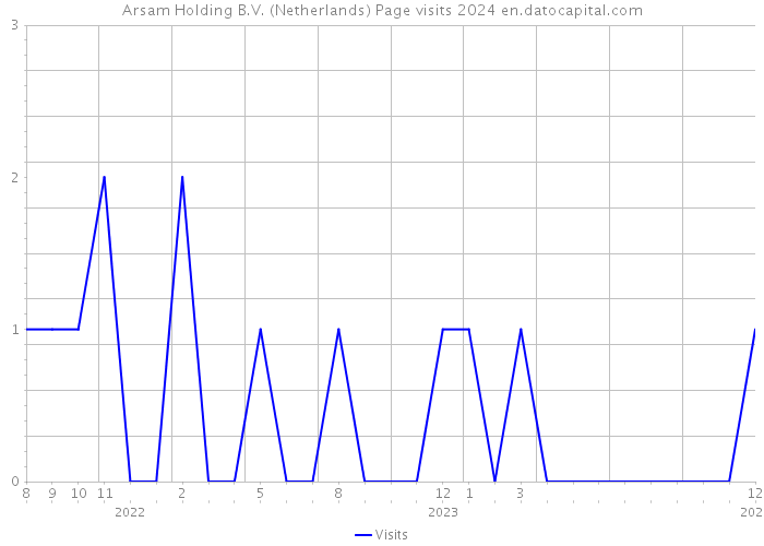 Arsam Holding B.V. (Netherlands) Page visits 2024 