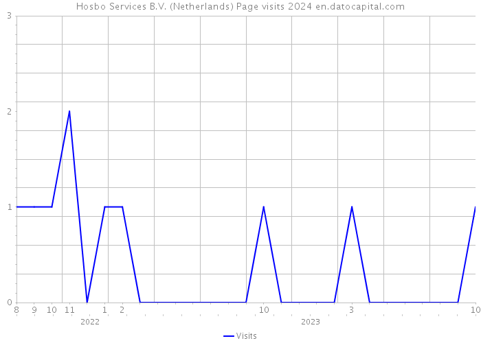 Hosbo Services B.V. (Netherlands) Page visits 2024 
