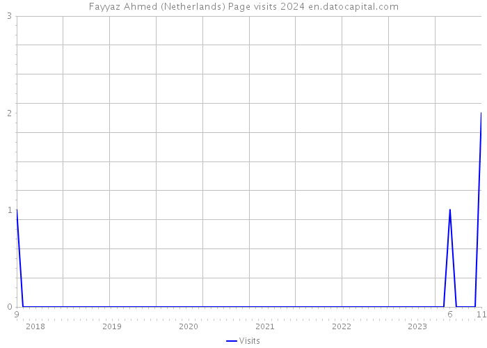 Fayyaz Ahmed (Netherlands) Page visits 2024 