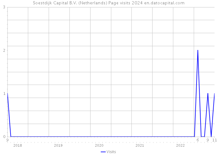 Soestdijk Capital B.V. (Netherlands) Page visits 2024 