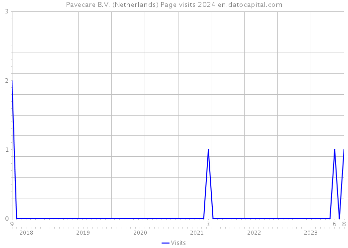 Pavecare B.V. (Netherlands) Page visits 2024 
