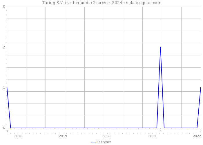 Turing B.V. (Netherlands) Searches 2024 