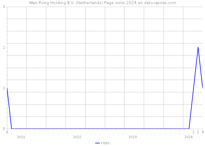 Wan Rong Holding B.V. (Netherlands) Page visits 2024 