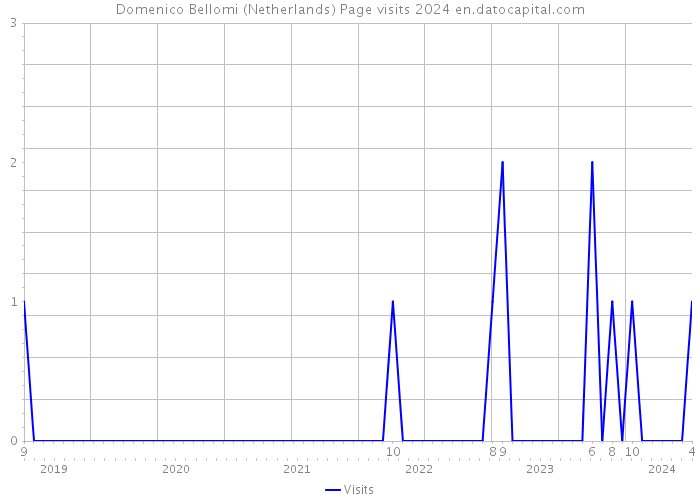 Domenico Bellomi (Netherlands) Page visits 2024 
