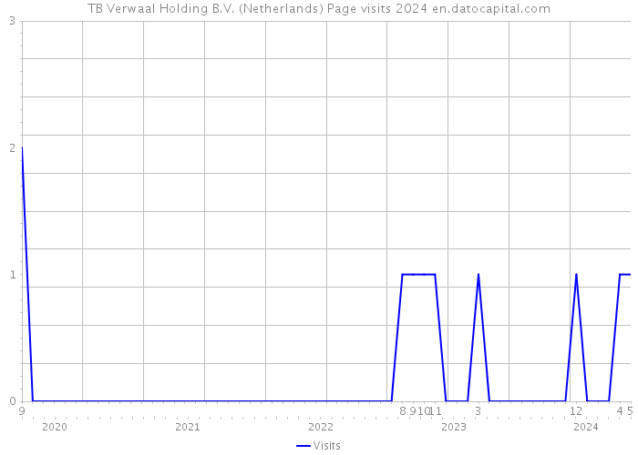 TB Verwaal Holding B.V. (Netherlands) Page visits 2024 