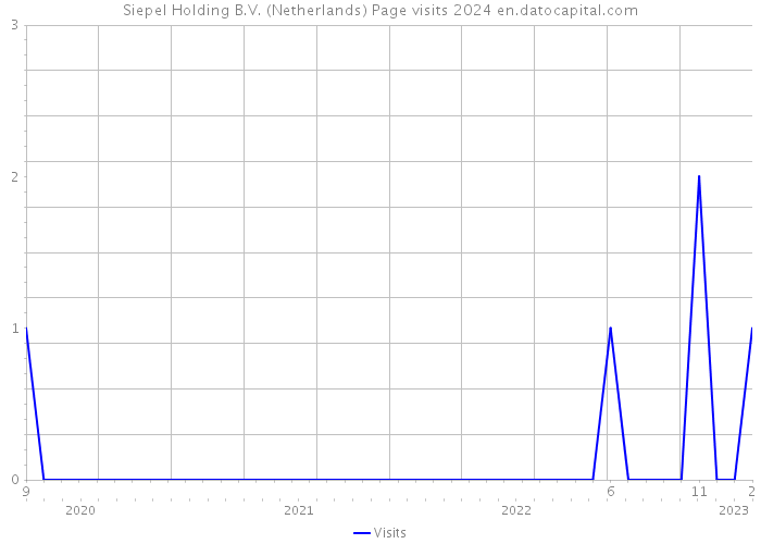 Siepel Holding B.V. (Netherlands) Page visits 2024 