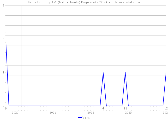 Born Holding B.V. (Netherlands) Page visits 2024 
