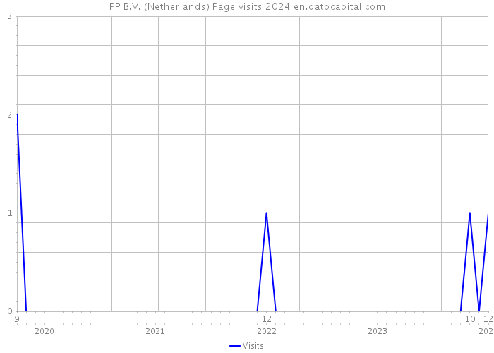 PP B.V. (Netherlands) Page visits 2024 