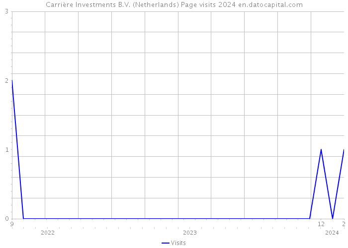 Carrière Investments B.V. (Netherlands) Page visits 2024 