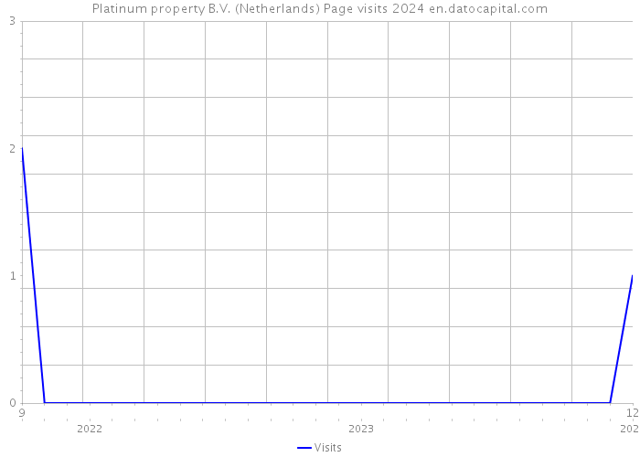 Platinum property B.V. (Netherlands) Page visits 2024 