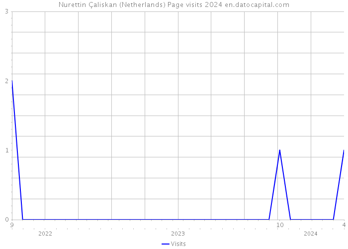 Nurettin Çaliskan (Netherlands) Page visits 2024 