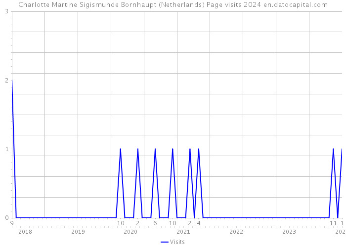 Charlotte Martine Sigismunde Bornhaupt (Netherlands) Page visits 2024 