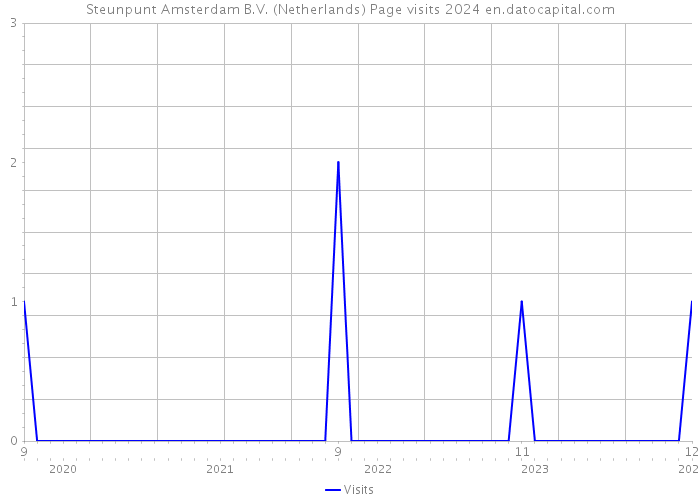 Steunpunt Amsterdam B.V. (Netherlands) Page visits 2024 