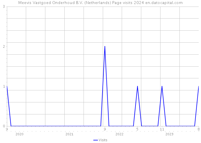Meevis Vastgoed Onderhoud B.V. (Netherlands) Page visits 2024 