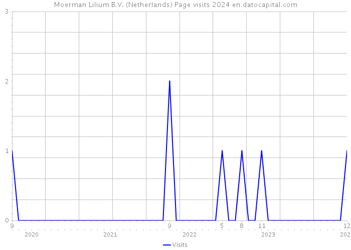 Moerman Lilium B.V. (Netherlands) Page visits 2024 