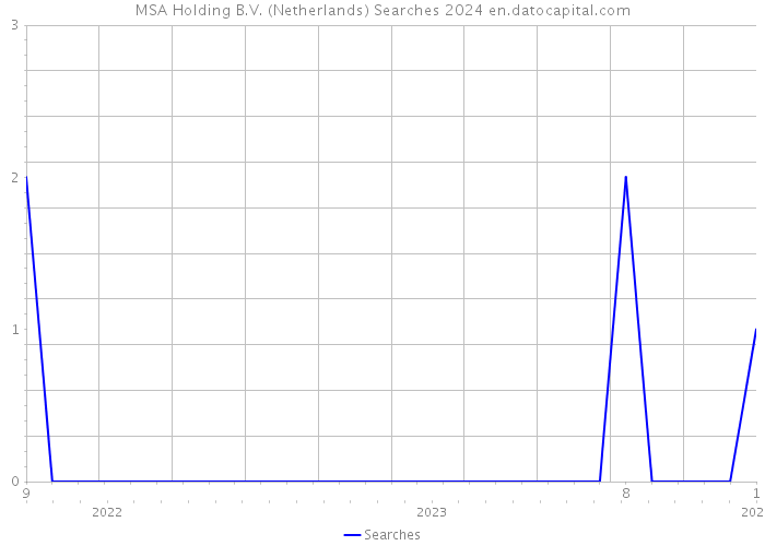 MSA Holding B.V. (Netherlands) Searches 2024 