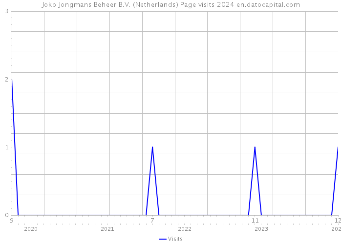 Joko Jongmans Beheer B.V. (Netherlands) Page visits 2024 
