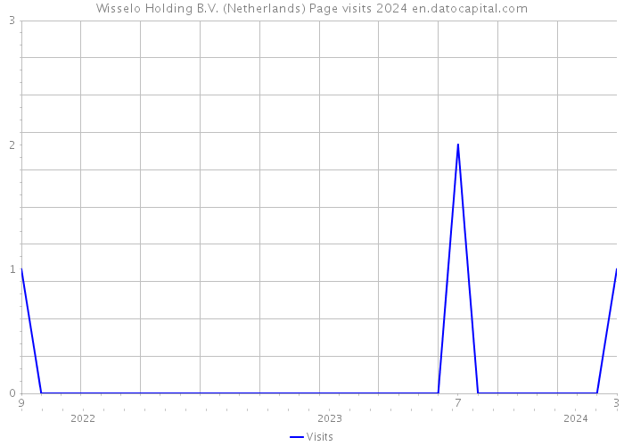 Wisselo Holding B.V. (Netherlands) Page visits 2024 