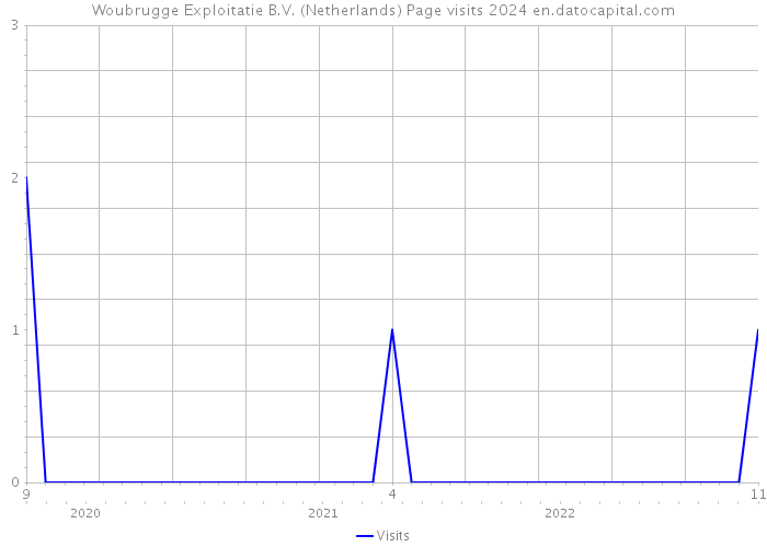 Woubrugge Exploitatie B.V. (Netherlands) Page visits 2024 