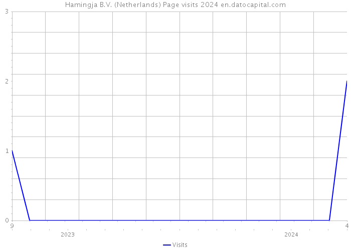 Hamingja B.V. (Netherlands) Page visits 2024 
