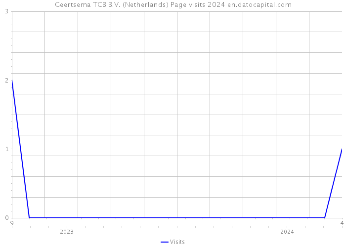 Geertsema TCB B.V. (Netherlands) Page visits 2024 