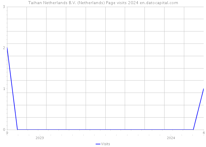 Taihan Netherlands B.V. (Netherlands) Page visits 2024 