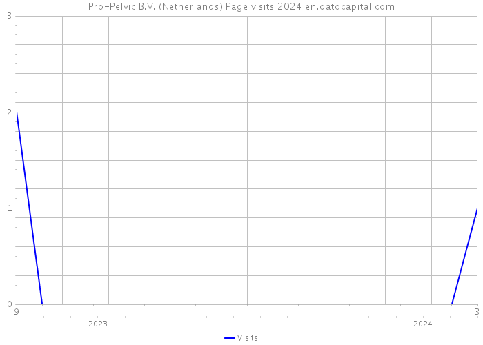 Pro-Pelvic B.V. (Netherlands) Page visits 2024 