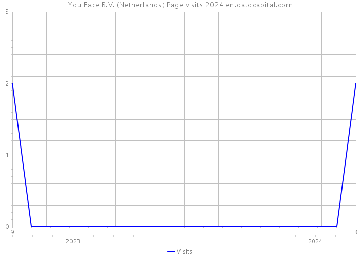 You Face B.V. (Netherlands) Page visits 2024 