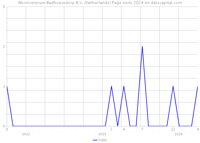 Wooncentrum Badhoevedorp B.V. (Netherlands) Page visits 2024 