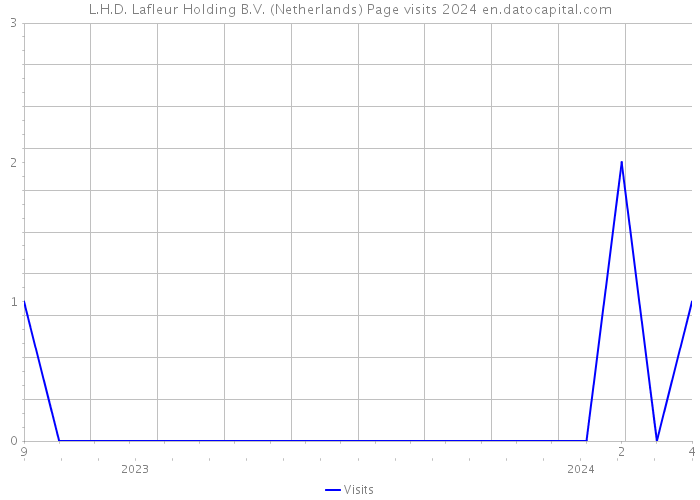 L.H.D. Lafleur Holding B.V. (Netherlands) Page visits 2024 
