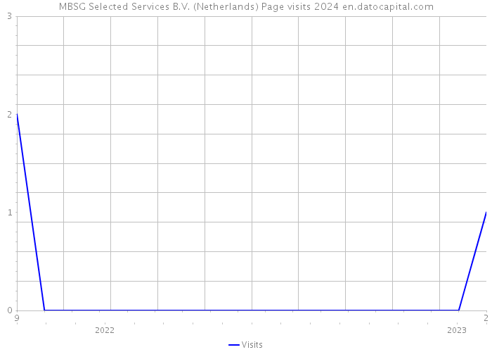 MBSG Selected Services B.V. (Netherlands) Page visits 2024 