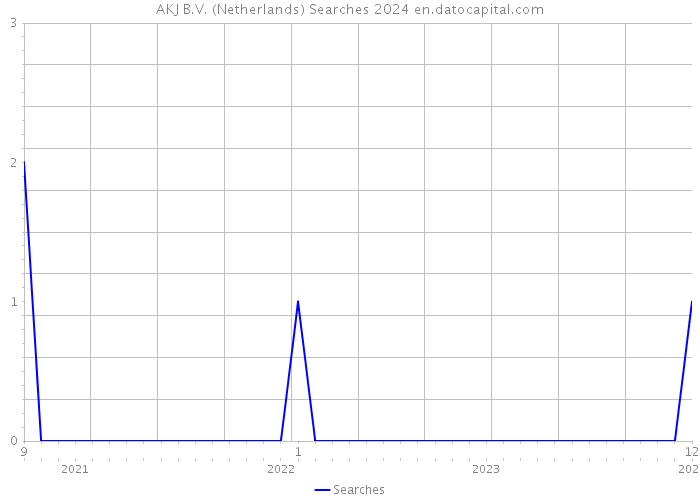 AKJ B.V. (Netherlands) Searches 2024 