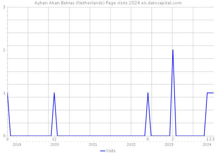 Ayhan Akan Bektas (Netherlands) Page visits 2024 
