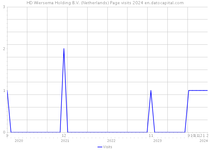 HD Wiersema Holding B.V. (Netherlands) Page visits 2024 